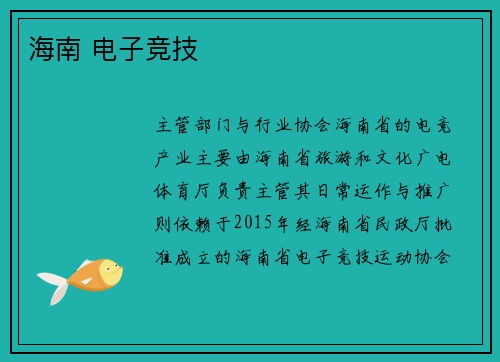 海南 电子竞技